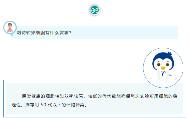 对待转染细胞有什么要求？通常健康的细胞转染效率较高，较低的传代数能确保每次实验所用细胞的稳定性。推荐用 50 代以下的细胞转染。