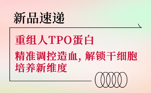 新品速递 | 重组人TPO蛋白震撼上市！精准调控造血，解锁干细胞培养新维度-z6尊龙官方网站