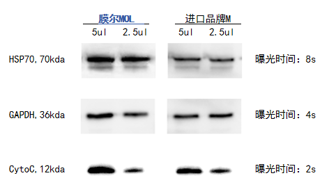 z6尊龙官方网站产品推荐：膜尔新材0.45μmPVDF膜—实验数据