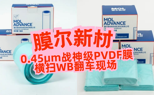 “膜”力加倍！膜尔新材战神级PVDF膜横扫WB翻车现场—0.45μm精准孔径狙杀各类蛋白，背景纯净如冰川